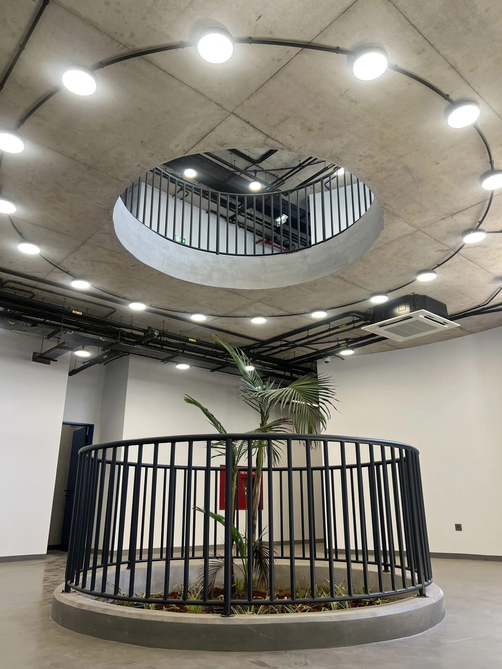 Double-height atrium with circular void, ring lighting and planted balustrade